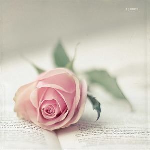 Meet your Posher, See